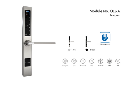 C81A Smart Lock